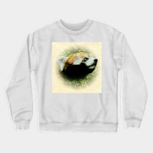 Red panda Crewneck Sweatshirt